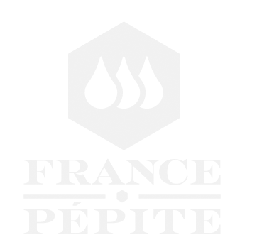 France Pépite